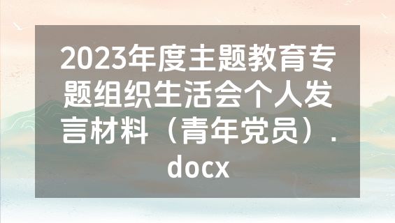 2023年度主题教育专题组织生活会个人发言材料（青年党员）.docx