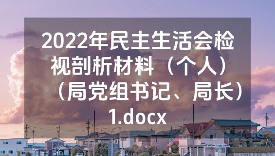 2022年民主生活会检视剖析材料（个人）（局党组书记、局长）1.docx
