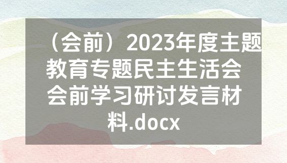（会前）2023年度主题教育专题民主生活会会前学习研讨发言材料.docx