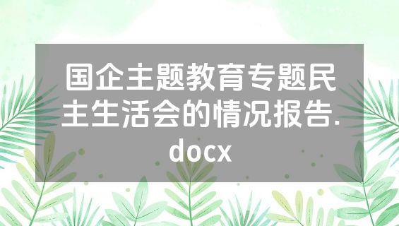国企主题教育专题民主生活会的情况报告.docx
