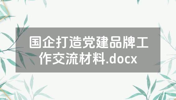 国企打造党建品牌工作交流材料.docx