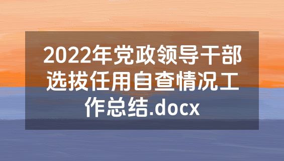 2022年党政领导干部选拔任用自查情况工作总结.docx
