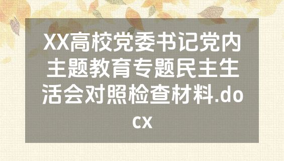 XX高校党委书记党内主题教育专题民主生活会对照检查材料.docx