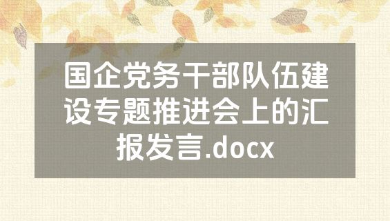 国企党务干部队伍建设专题推进会上的汇报发言.docx