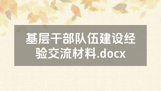 基层干部队伍建设经验交流材料.docx
