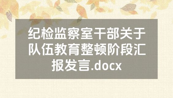 纪检监察室干部关于队伍教育整顿阶段汇报发言.docx