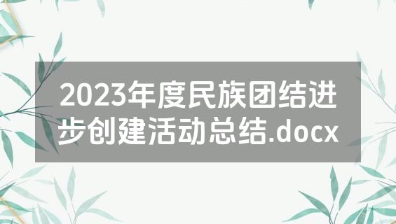 2023年度民族团结进步创建活动总结.docx