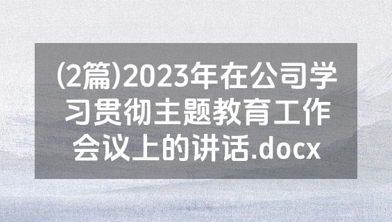(2篇)2023年在公司学习贯彻主题教育工作会议上的讲话.docx