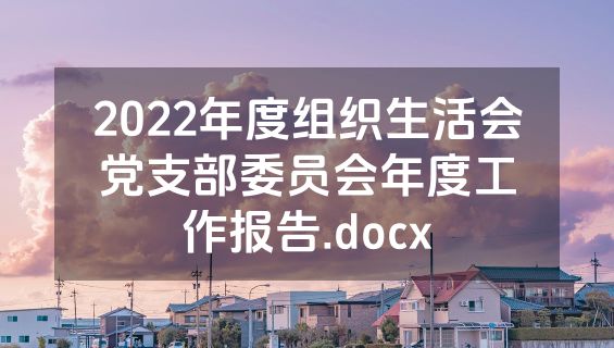 2022年度组织生活会党支部委员会年度工作报告.docx
