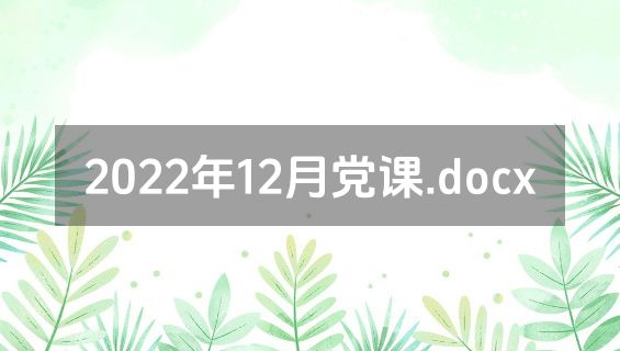 2022年12月党课.docx