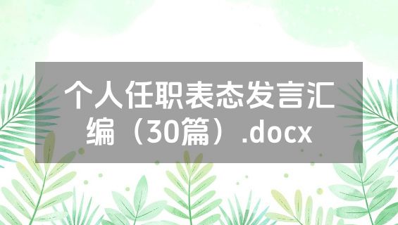 个人任职表态发言汇编（30篇）.docx