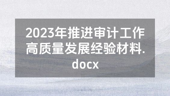 2023年推进审计工作高质量发展经验材料.docx