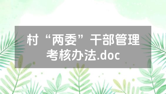 村“两委”干部管理考核办法.doc