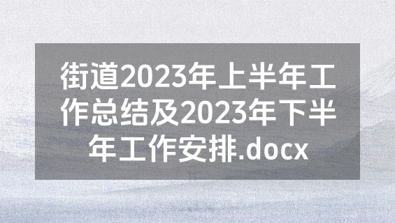街道2023年上半年工作总结及2023年下半年工作安排.docx