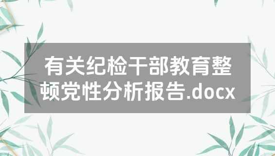 有关纪检干部教育整顿党性分析报告.docx