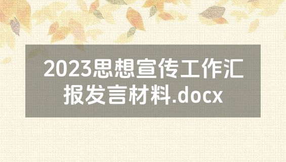 2023思想宣传工作汇报发言材料.docx