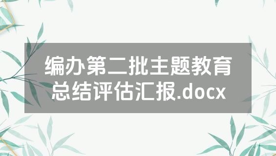 编办第二批主题教育总结评估汇报.docx