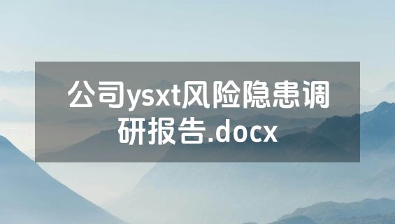 公司ysxt风险隐患调研报告.docx