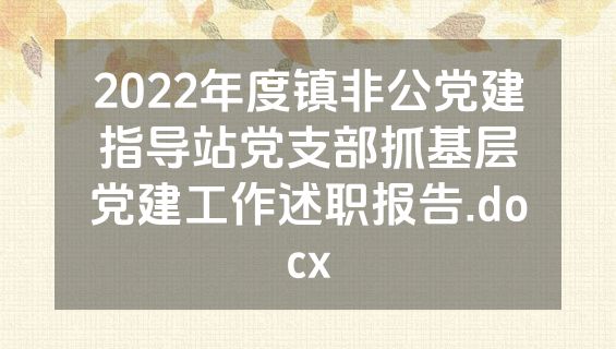 2022年度镇非公党建指导站党支部抓基层党建工作述职报告.docx