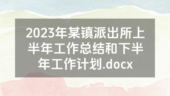 2023年某镇派出所上半年工作总结和下半年工作计划.docx