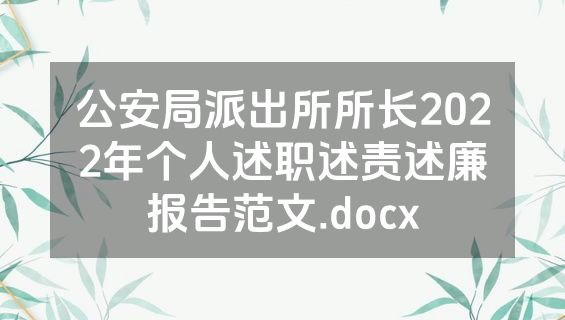 公安局派出所所长2022年个人述职述责述廉报告范文.docx