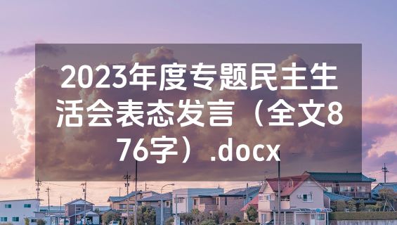 2023年度专题民主生活会表态发言（全文876字）.docx