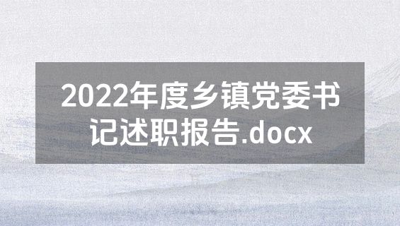 2022年度乡镇党委书记述职报告.docx