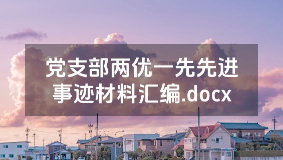 党支部两优一先先进事迹材料汇编.docx