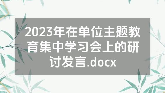 2023年在单位主题教育集中学习会上的研讨发言.docx