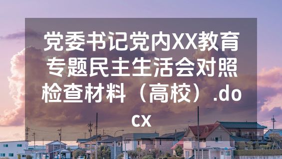 党委书记党内XX教育专题民主生活会对照检查材料（高校）.docx