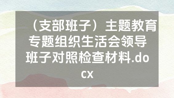 （支部班子）主题教育专题组织生活会领导班子对照检查材料.docx