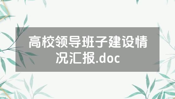 高校领导班子建设情况汇报.doc