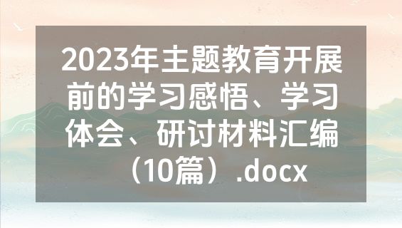 2023年主题教育开展前的学习感悟、学习体会、研讨材料汇编（10篇）.docx