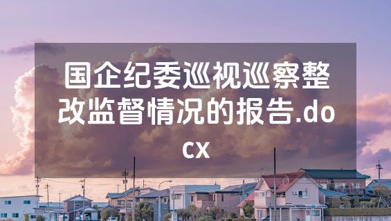 国企纪委巡视巡察整改监督情况的报告.docx