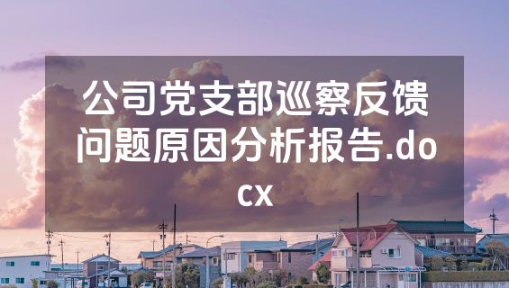 公司党支部巡察反馈问题原因分析报告.docx