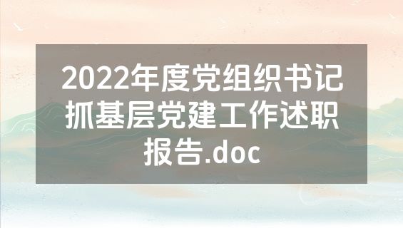 2022年度党组织书记抓基层党建工作述职报告.doc