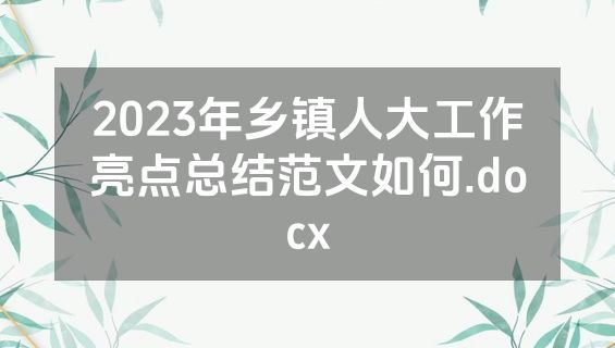 2023年乡镇人大工作亮点总结范文如何.docx