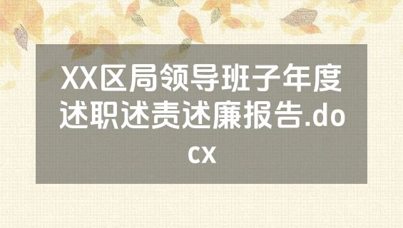 XX区局领导班子年度述职述责述廉报告.docx