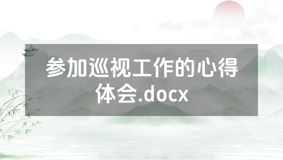 参加巡视工作的心得体会.docx