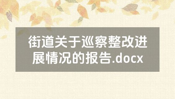 街道关于巡察整改进展情况的报告.docx