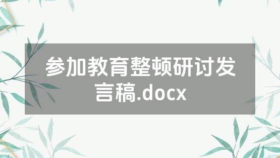 参加教育整顿研讨发言稿.docx