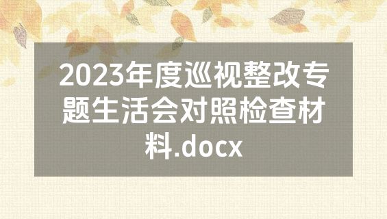 2023年度巡视整改专题生活会对照检查材料.docx