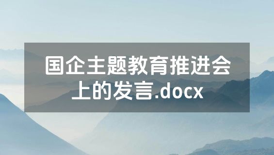 国企主题教育推进会上的发言.docx