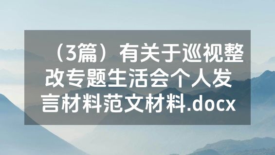 （3篇）有关于巡视整改专题生活会个人发言材料范文材料.docx