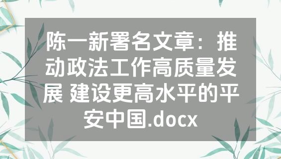 陈一新署名文章：推动政法工作高质量发展 建设更高水平的平安中国.docx