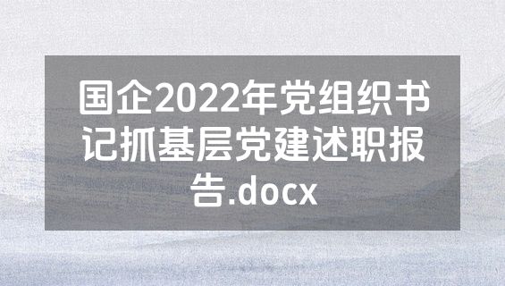 国企2022年党组织书记抓基层党建述职报告.docx