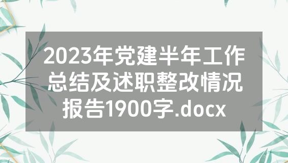 2023年党建半年工作总结及述职整改情况报告1900字.docx