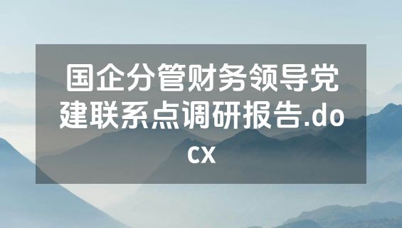 国企分管财务领导党建联系点调研报告.docx