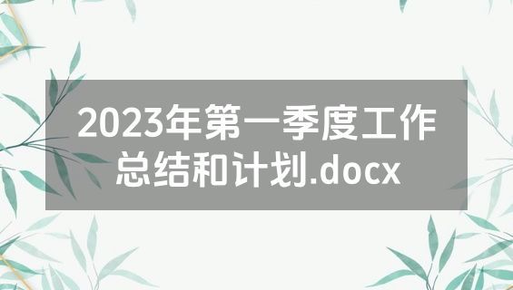 2023年第一季度工作总结和计划.docx
