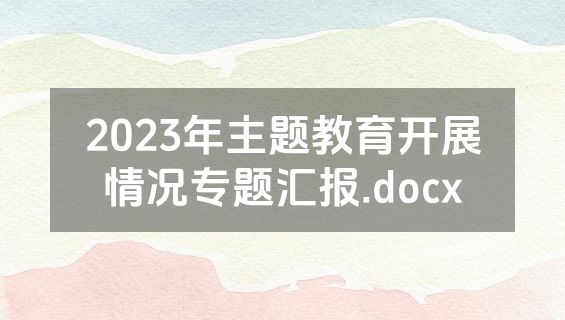 2023年主题教育开展情况专题汇报.docx